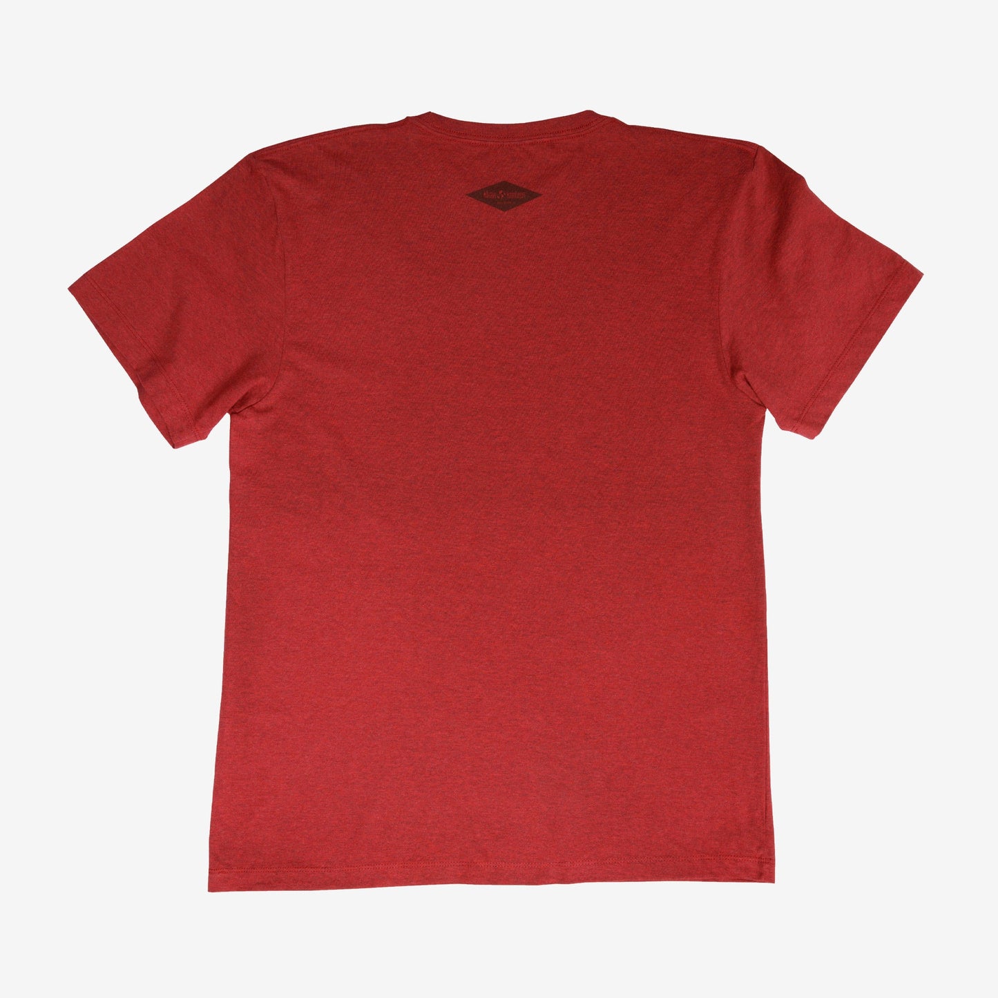 backyard-t-shirt-y2 Shirt_Mtn_Back.jpg